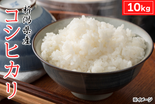 【4月末までの特価】「令和6年産」新潟県産 コシヒカリ10kg(5kg×2)