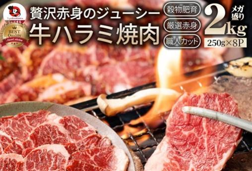 【12月末までの特価】贅沢赤身のジューシー 牛ハラミ 焼肉 2kg(250g×8P)