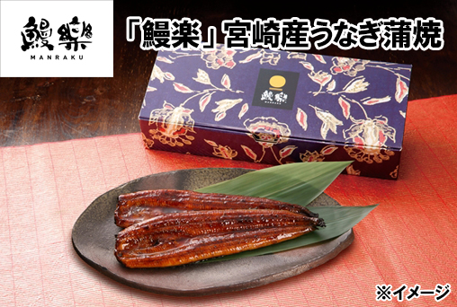 <早割/土用の丑の日>「鰻楽」九州産うなぎ蒲焼 2尾