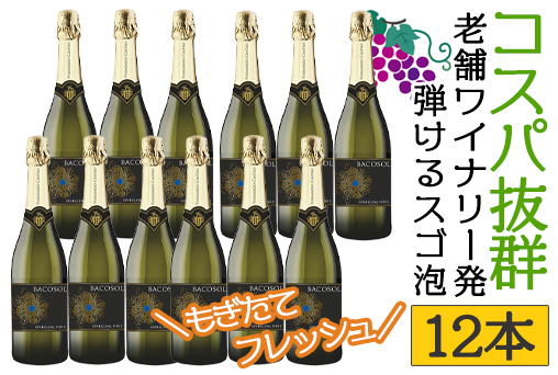 バコソル ブリュット 12本
